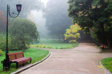 Wall Mural - beautiful park in the fog