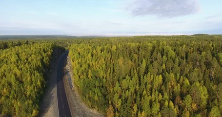 Wall Mural - Panorama of northern highway in autumn coniferous forest. Aerial view, drone camera goes up