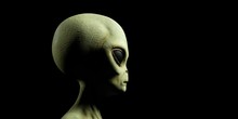 Extremely Detailed And Realistic High Resolution 3d Illustration Of A Grey Alien