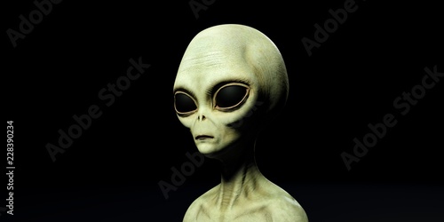 Fotomural Extremely detailed and realistic high resolution 3d illustration of a grey alien