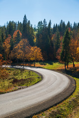 Sticker - Road curve in forest at summer noon