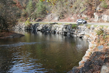 Wall Mural - a riverbank