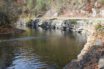 Wall Mural - a riverbank