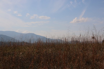 Canvas Print - the blue ridge mountains