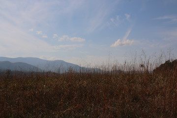 Canvas Print - the blue ridge mountains