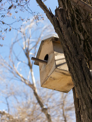 Birdhouse on a tree