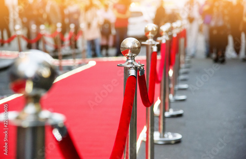 Fotomural red carpet and barrier on entrance