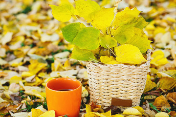 Wall Mural - bouquet of yellow leaves in the beige basket and orange cup with tea on fallen leaves background. autumn mood beautiful day. Golden autumn in still life. Bright Fall image.  