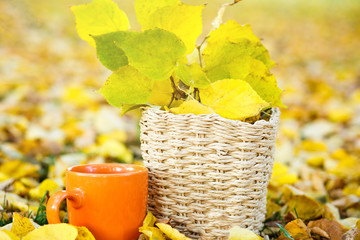 Wall Mural - bouquet of yellow leaves in the beige basket and orange cup with tea on fallen leaves background. autumn mood beautiful day. Golden autumn in still life. Bright Fall image.  