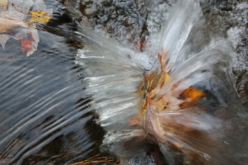 Poster - a flowing creek