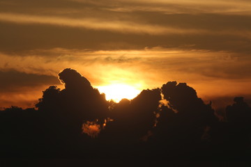 Wall Mural - a golden sunset by the ocean