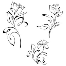 stylized rose flowers on stems with leaves black lines on white background. SET