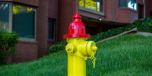 Fire Hydrant On A Lawn In Front Of Brick Building