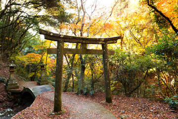 Poster - 白馬渓の紅葉