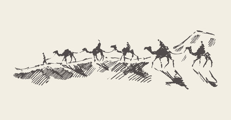 Caravan of camels desert drawn vector illustration
