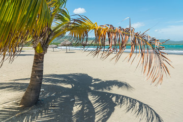 Wall Mural - Sand beach in Cuba