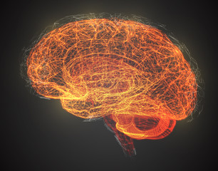 Vector illustration, three-dimensional brain on a dark background
