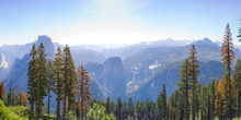 Towering Trees And Vast Mountain At Yosemite CA