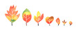 watercolor autumn leaves collection on white background with clipping path