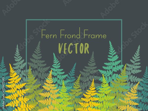 Fern frond tropical forest leaves vector frame illustration. Green, yellow an...