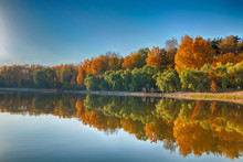 Panorama Of A Beautiful Golden Autumn Forest With A Lake In Sunny Weather With Bright Blue Sky