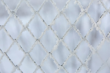 Frozen lattice fence. Snow covered grid. Winter hoarfrost.