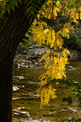 Wall Mural - Herbst am Fluss