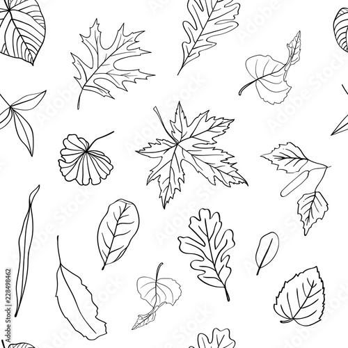 Autumn Leaves Pattern Isolated On White Background Black And