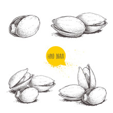 Hand Drawn Pistachios Set. Open And Fried Fresh Organic Food. Singles And Group. Nuts Vector Illustrations Isolated On White Background.