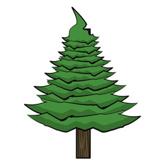 Wall Mural - Tree pine cartoon