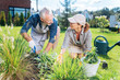 © zinkevych - Helping in garden. Mature handsome man wearing white gloves helping his beautiful young wife in the garden
