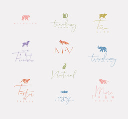 Wall Mural - Animals mini floral graphic signs color