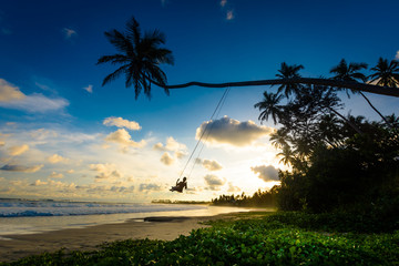 A female tourist is enjoying sunset on a palm swing in Sri Lanka. Palm swings are popular attractions around Dalawella and Dickwella beaches