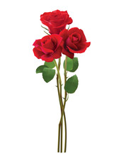 Bouquet Of Roses, Isolated On White. Realistic Vector 3d Illustration