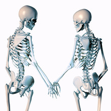 3d Illustration Of Romantic Skeleton Couples