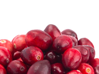 Fresh Red Cranberries on a White Background