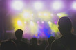 © 2Design - Back view of spectators attending a rock concert