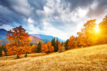 Mountain autumn landscape with colorful forest