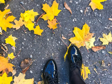 Feet In Beautiful Black Leather Smooth Glossy Shoes On Yellow And Red, Brown Colored Natural Autumn Leaves On The Pavement