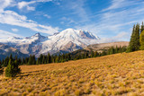 Fototapeta Krajobraz - The Mount Rainier sitting in the background with a valley view in front