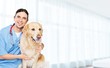 © BillionPhotos.com - Beautiful young veterinarian with a dog