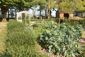 Poster - jardin potager serre 