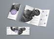 © olegphotor - White vector three-fold brochure design with purple circles and place for photo.