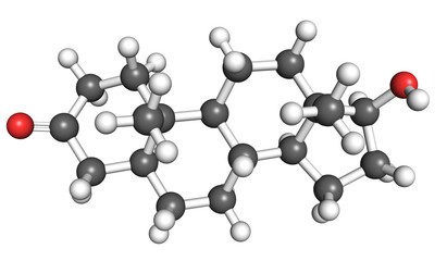 Wall Mural - Dihydrotestosterone is a steroid hormone and a contributing factor to male baldness, prostatic benign hyperplasia and prostate cancer.