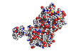 © petarg - The structure of human prolactin, space-filling model. Prolactin is a hormone with a primary role in enabling female mammals to produce milk.