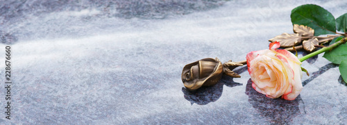 Fotografía Grave with rose, Grab, Allerheiligen, Allerseelen, Totensonntag, Banner, Panoram
