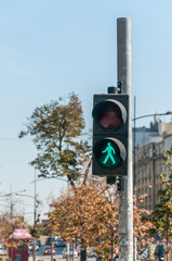 Wall Mural - Green traffic light signal for pedestrians on the crosswalk road in the city