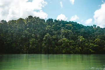 Dense jungle surrounding the green water of Rio Dulce in East Guatemala