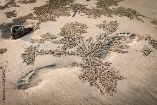 Film Uber Natur Kunstler Andy Goldsworthy Es Kreist Viel Um Das