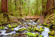 The Trail And Bridge To Sol Duc Falls, Olympic National Park, Washington, USA